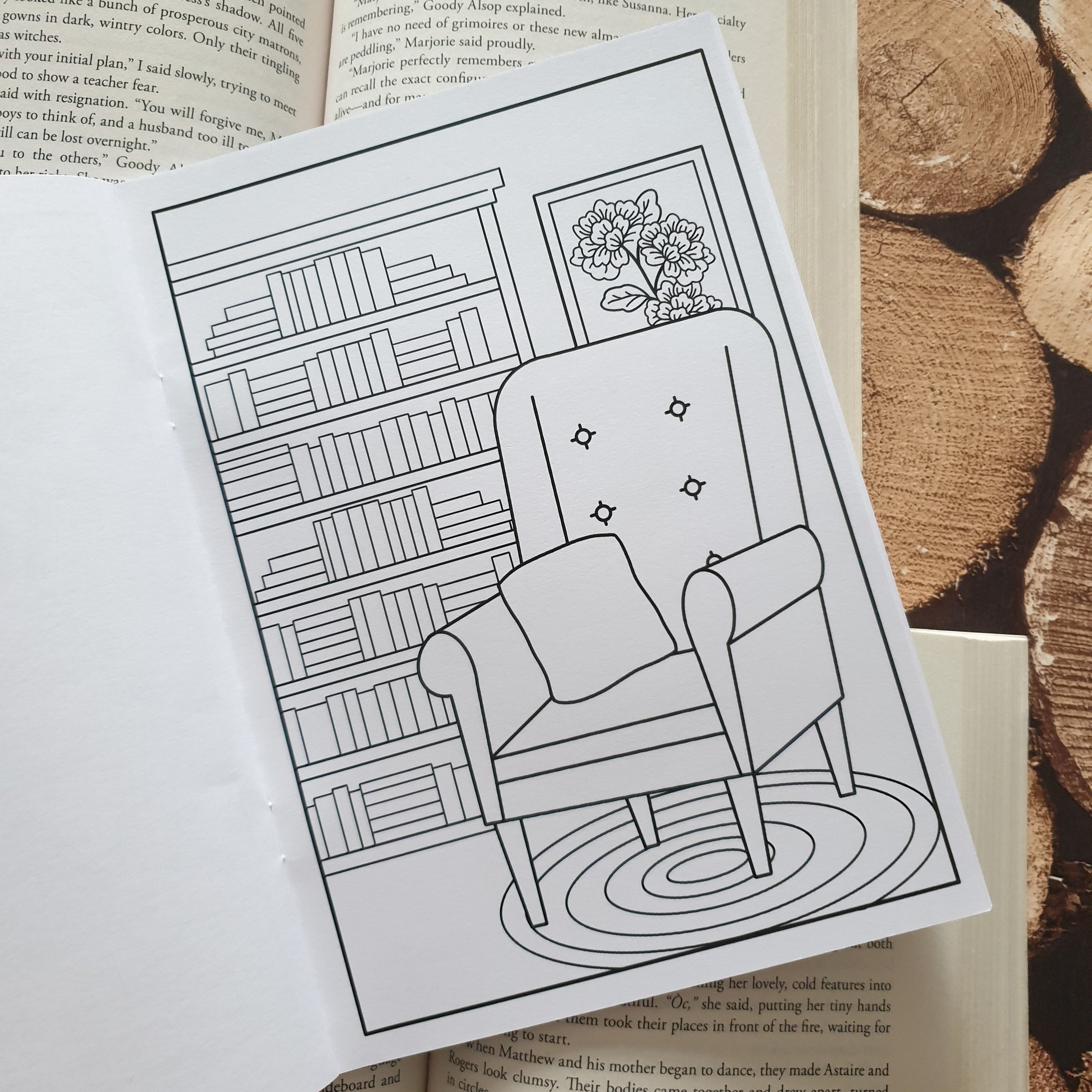 Bibliophile Colouring Book