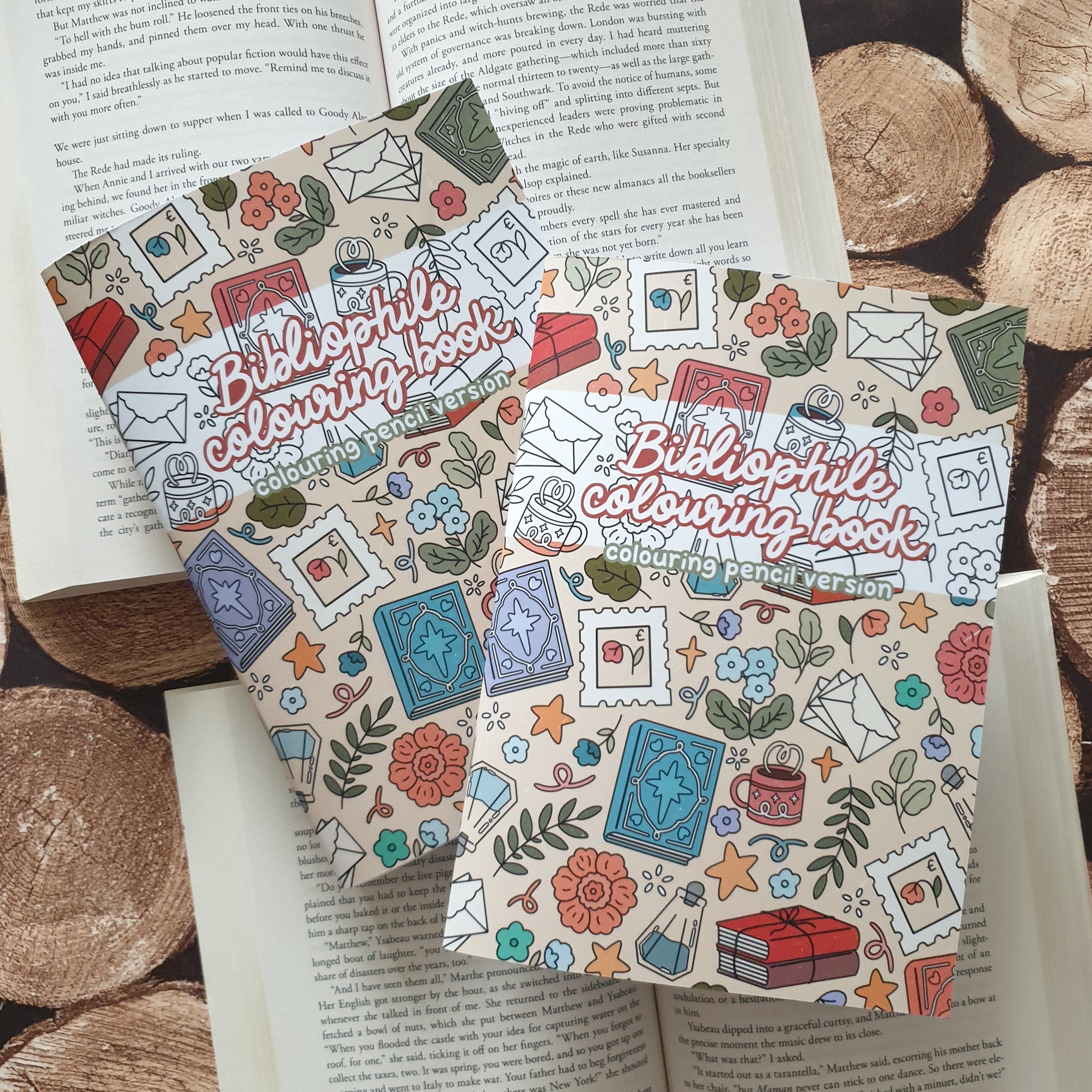 Bibliophile Colouring Book