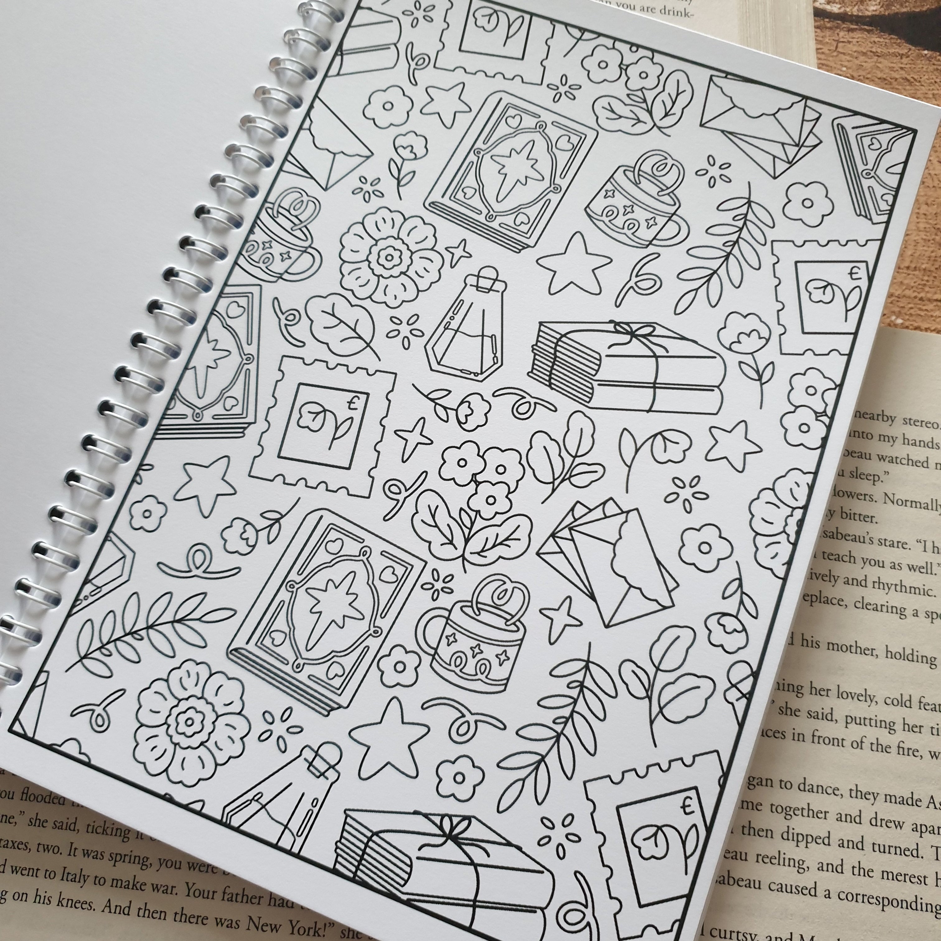 Bibliophile Colouring Book